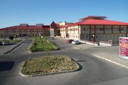 Bingöl'de domuz gribi şüphesi