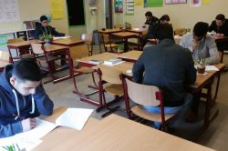 Hollanda'da Kutlu Doğum Siyer Sınavı düzenlendi