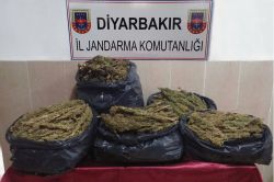 Diyarbakır’da uyuşturucu yakalandı