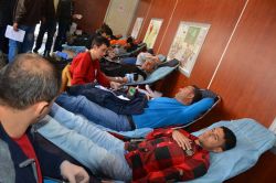 Siverek’te kan bağışı kampanyası ilgi gördü