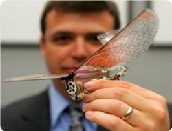 Gazze'ye Casusluk Amaçlı Gönderilen Elektronik Böcekler Tespit Edildi