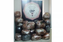 Diyarbakır’da esrar baskını