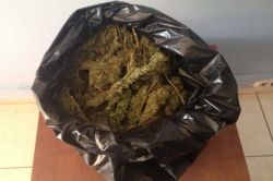 Uyuşturucu taciri olduğu iddiasıyla 2 kişi tutuklandı