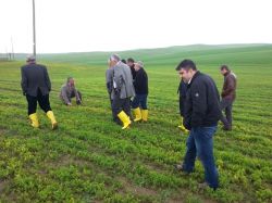 Batman’da 'Tarla Okulu Eğitim Çalışması' düzenlendi