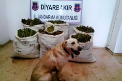 Diyarbakır’da uyuşturucu baskını