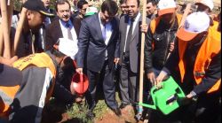 Şanlıurfa'ya bir yılda 2 milyon fidan dikilecek