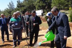 Gaziantep'te 800 fidan toprakla buluşturuldu