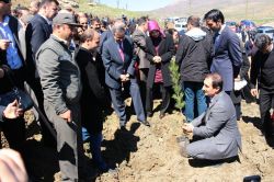 Şırnak’ta 9 bin fidan dikildi