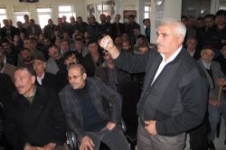 Bingöl'de damızlık boğa için kura çekildi