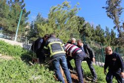 Mardin İtfaiyesi’nden ağaç dikimi
