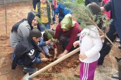 Bu dünyada bir dikili ağacınız olsun