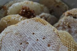 Medya aracılığıyla bal satışına sıkı takip