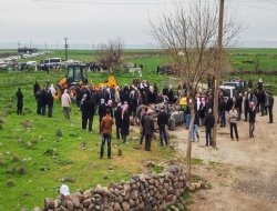 Şırnak'ın İdil ilçesinde arazi kavgası