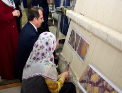 Van Valisi  İbrahim Taşyapan, ilçelerde incelemelerde bulundu