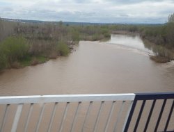 Dicle Nehri'nin su seviyesi yükseldi