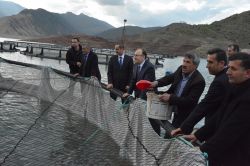 Siirt’te Kafes balıkçılığı başladı