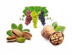 Meyve bahçesi desteği başvurusu başladı