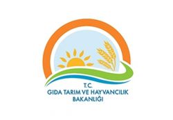 Fındık ve çay üreticilerine destek ödemesi