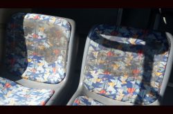 Diyarbakır'daki belediye otobüsleri hastalık saçıyor