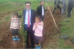 Silvan’da Kutlualan köyünde ağaç ekimi yapıldı