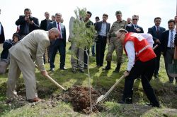 Kan veren her bir kişi için bir fidan dikildi