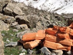 Şırnak’ta 277 bin paket kaçak sigara ele geçirildi