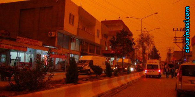 Çınar kızıla boyandı