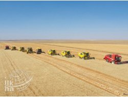 Ceylanpınar Tarım İşletmesi Hububat Hasadına Başladı