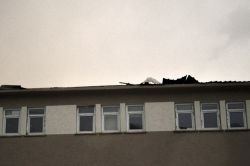 Bitlis'te etkili olan fırtına çatıları uçurdu foto video