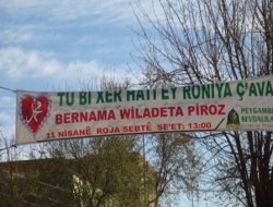 Çınar kutlu doğuma hazır