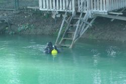 Tarsus’ta kayıp olan Ayfer Akkuş'un cesedi ırmakta bulundu video