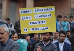 Gercüş kutlu doğum etkinliği 2015 peygamber sevdalıları platformu video