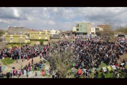 Çınar kutlu doğum etkinliği 2015 peygamber sevdalıları platformu video