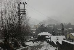 Bitlis'te nisan ayında kar yağışı foto