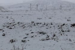 Tatvan’a Nisan ayında kar yağdı