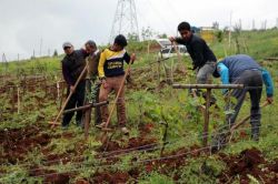 Cudi’nin bir tarafında bahar, diğer tarafında kış mevsimi