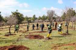 Dülük Tabiat Parkı’nda yaban hayvanlar için meyve bahçesi