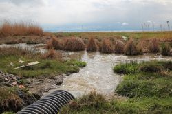 Van Gölü kıyısı lağım ve pislikten geçilmiyor foto