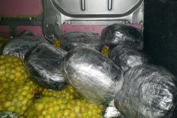 Gaziantep Ulucanlar Mahallesinde uyuşturucu baskını: 2 kişi tutuklandı