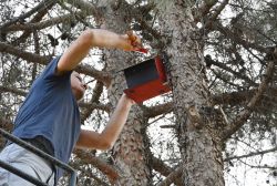 Mardin Dumlupınar Ortaokulu öğrencilerinden kuşlara yuva