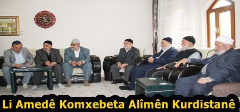 Li Amedê Komxebeta Alîmên Kurdistanê