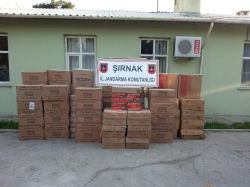Şırnak’ta 567 bin paket kaçak sigara ele geçirildi