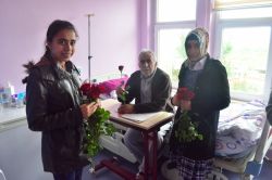 Silvanlı öğrenciler kutlu doğum için gül dağıttı