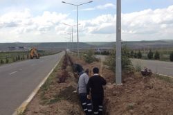 Batman’da aydınlatma çalışmaları