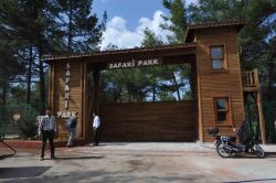 Gaziantep’te Türkiye’nin ilk safari parkı 23 Nisan'da açılıyor