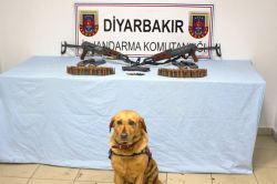 Diyarbakır Karahan mahallesinde mühimmat ele geçirildi foto