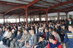 Kayseri Eskişehir Bağları kutlu doğum etkinliği 2015 video peygamber sevdalıları