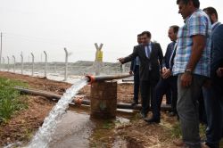 Şanlıurfa'da güneş enerjili sulamaya başlandı