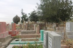 Ölüm sayısı 2014 yılında yüzde 4,7 arttı