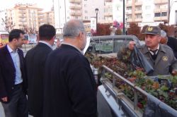 Gaziantep’te kutlu doğum anısına gül fidesi dağıtıldı